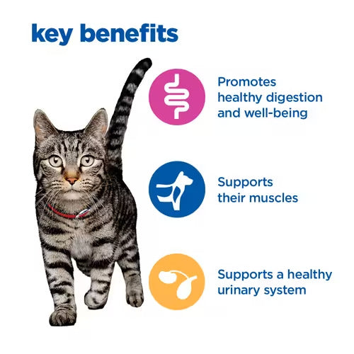 Hill’s Vet Essentials Multi- benefit Adult Cat Food (1.5KG)