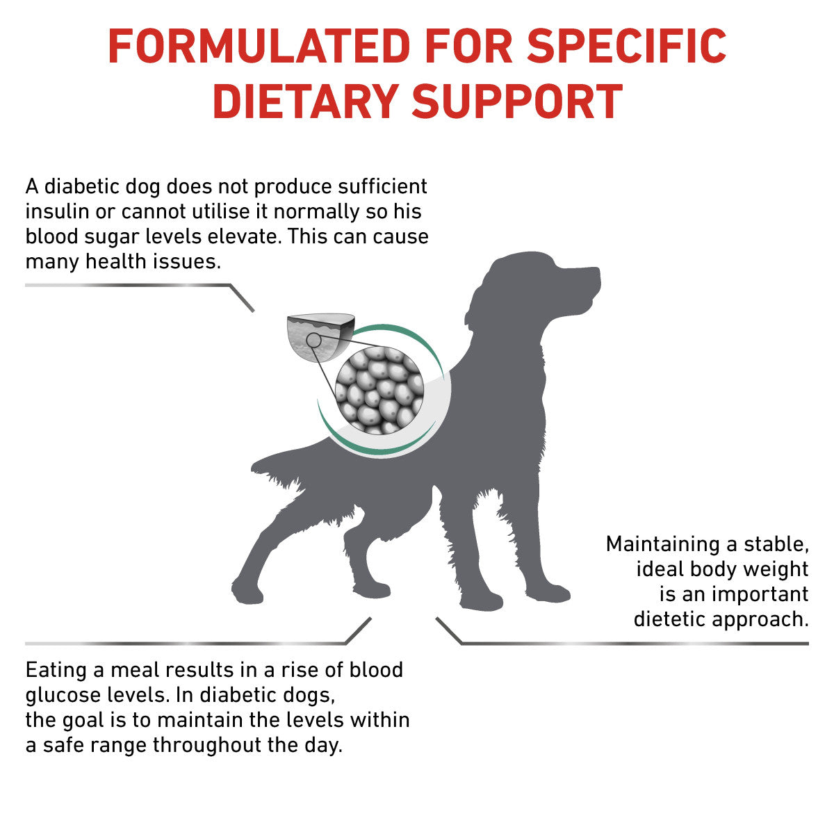 Vet Health Nutrition Canine Diabetic 1.5 kg
