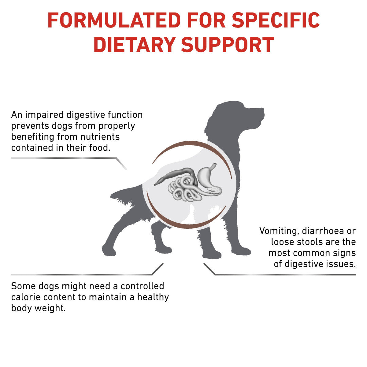 Vet Health Nutrition Canine GastroIntestinal Moderate Calorie 2 kg