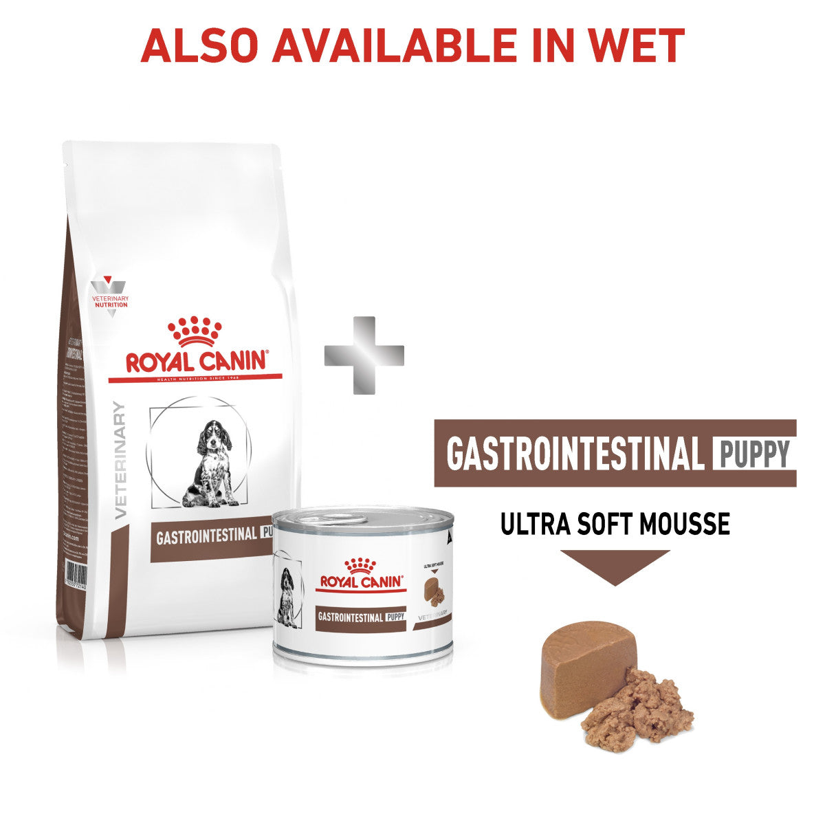 Vet Health Nutrition Canine GastroIntestinal Puppy 10 kg