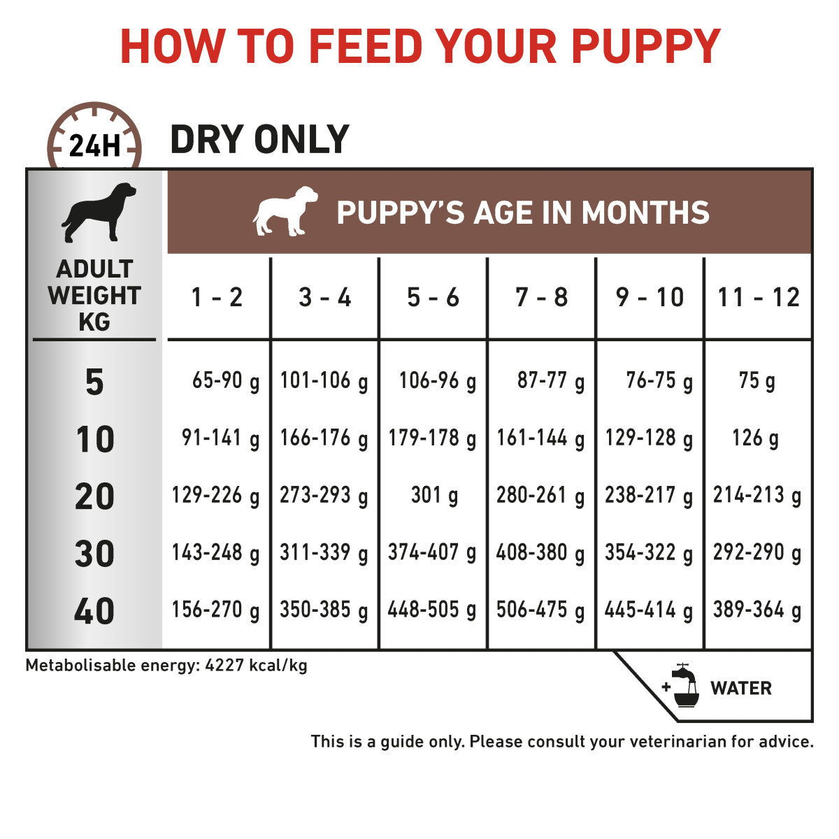Vet Health Nutrition Canine GastroIntestinal Puppy 2.5 kg