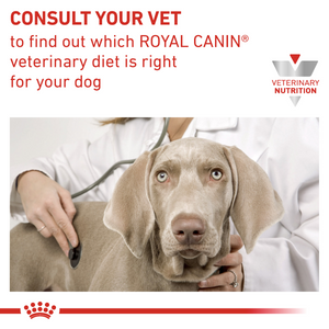 Vet Health Nutrition Canine Gastrointestinal Puppy (Wet Food - Cans) 12 x 195 g