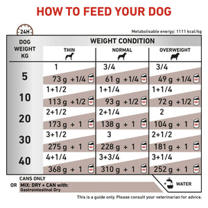 Vet Health Nutrition Canine GastroIntestinal (Wet Food - Cans) 12 x 400 g