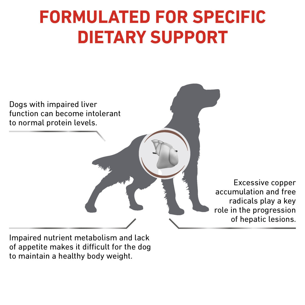 Vet Health Nutrition Canine Hepatic 1.5 kg
