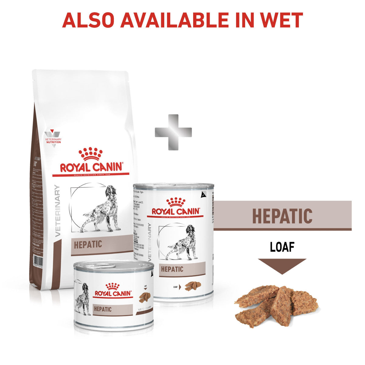 Vet Health Nutrition Canine Hepatic 1.5 kg