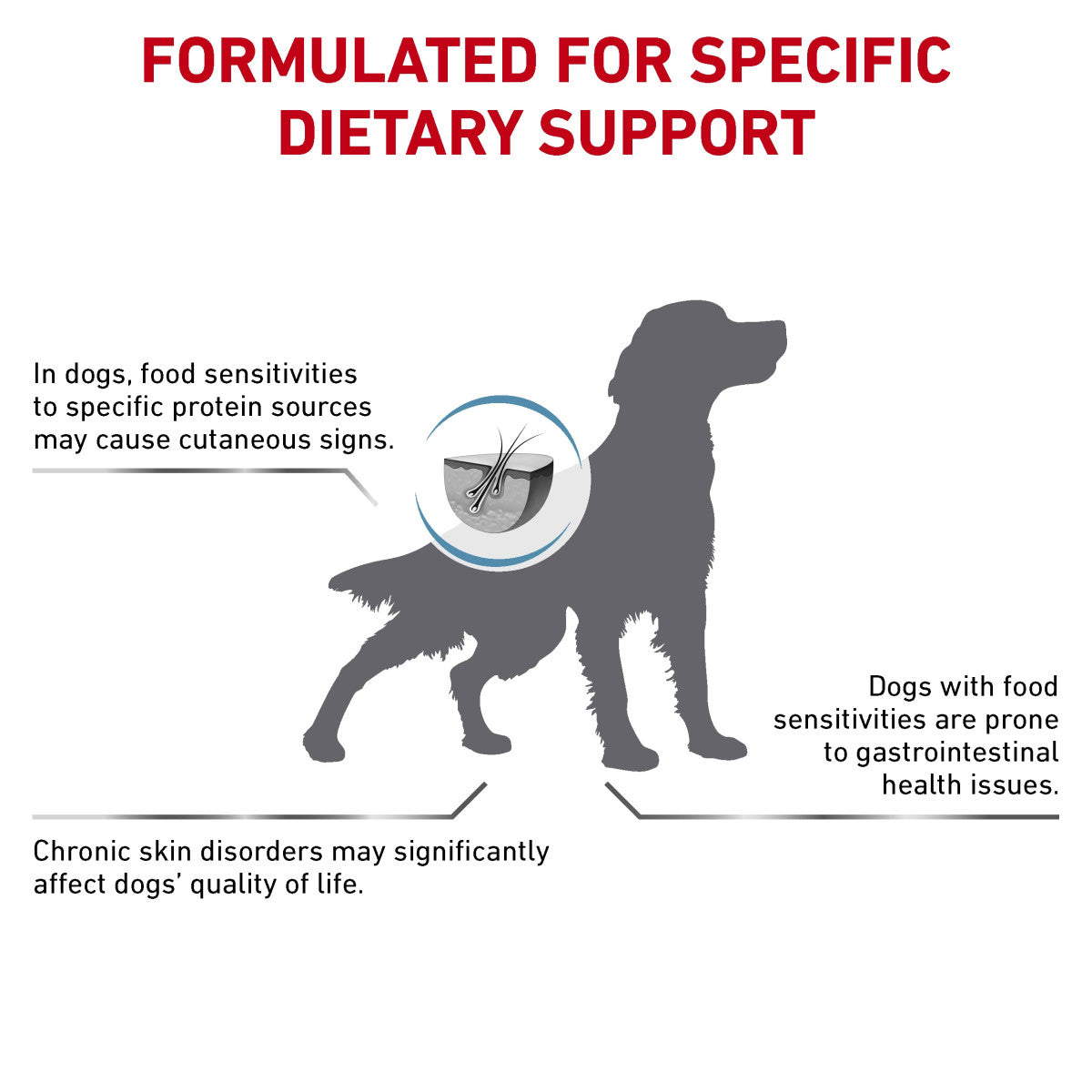 Vet Health Nutrition Canine Hypoallergenic 2 kg