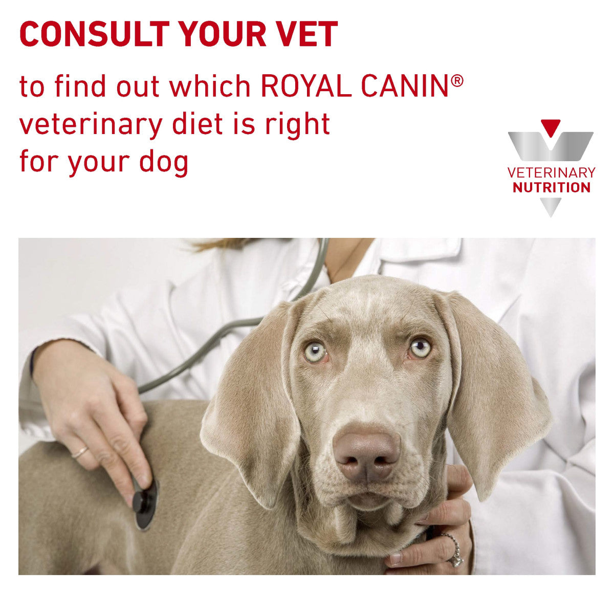 Vet Health Nutrition Canine Hypoallergenic Moderate Calorie 1.5 kg