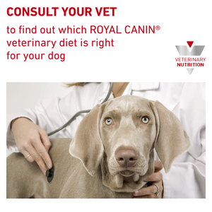 Vet Health Nutrition Canine Hypoallergenic (Wet Food - Cans) 12 x 200 g