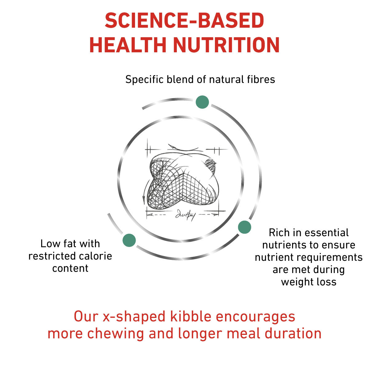 Vet Health Nutrition Canine Satiety 12 kg