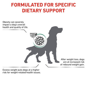 Vet Health Nutrition Canine Satiety 6 kg