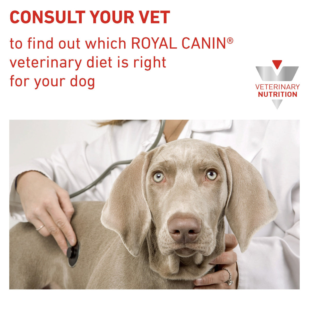 Vet Health Nutrition Canine Satiety (Wet Food - Cans) 12 x 410 g