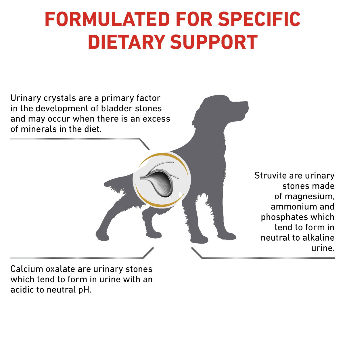 Vet Health Nutrition Canine Urinary S/O 2 kg