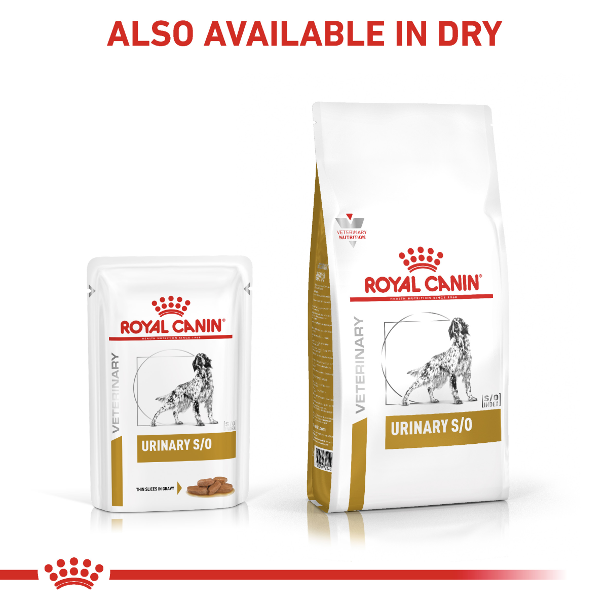 Vet Health Nutrition Canine Urinary S/O (Wet Food - Pouches) 12 x 100 g