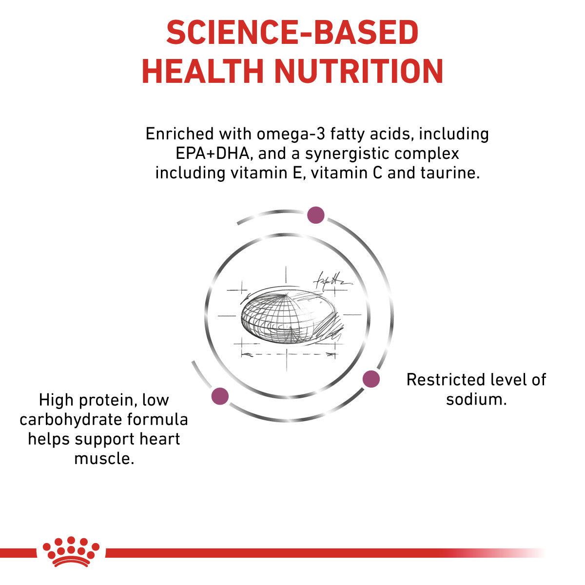 Vet Health Nutrition Feline Cardiac 1.5 kg
