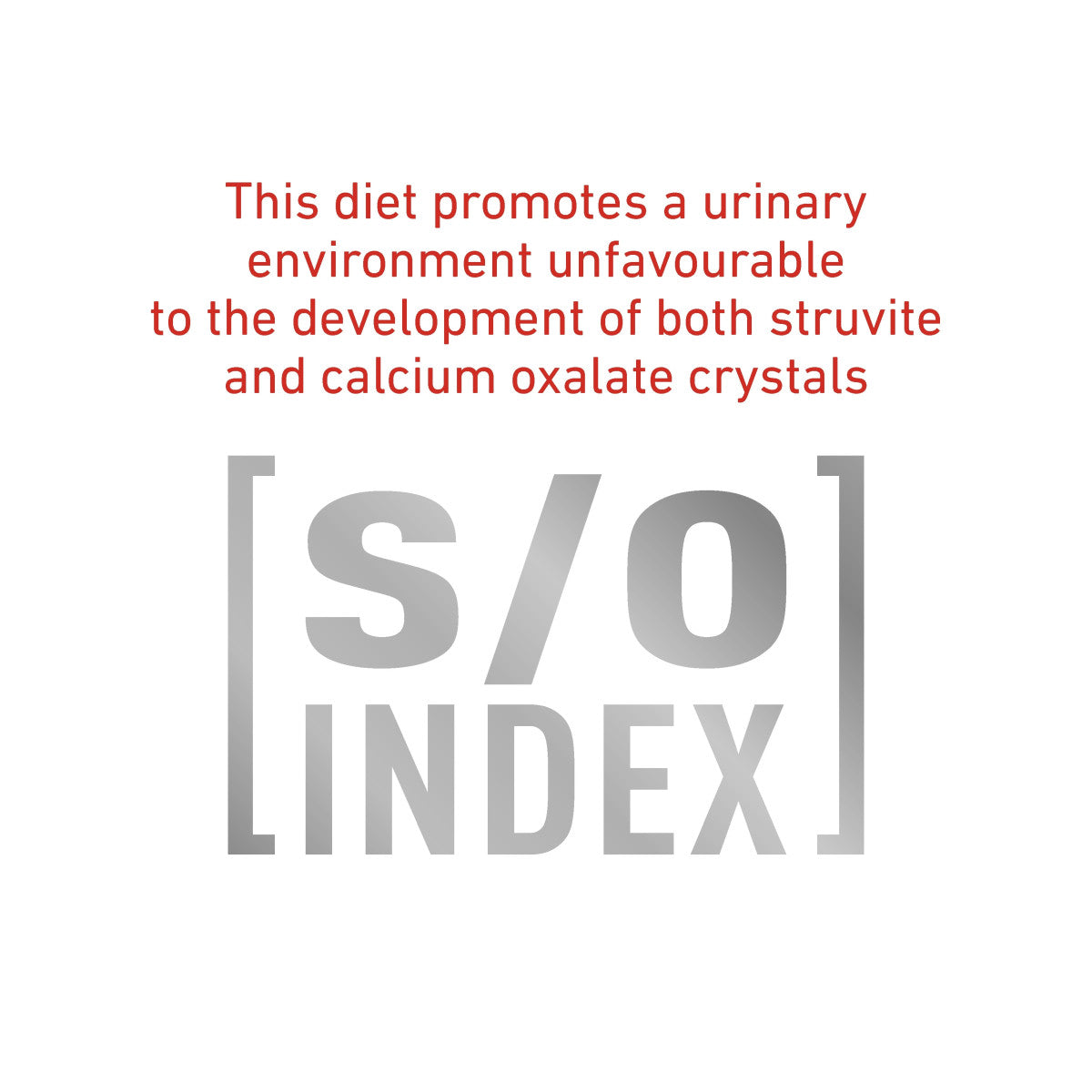 Vet Health Nutrition Feline Diabetic (Wet Food - Pouches) 12 x 85 g