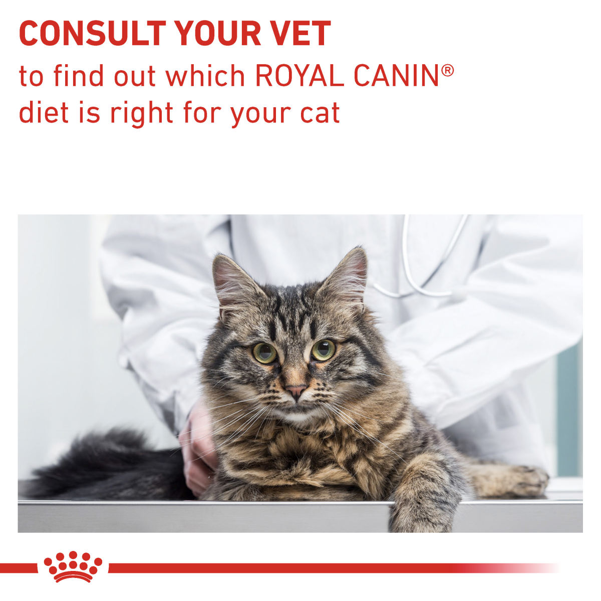 Vet Health Nutrition Feline Gastrointestinal Fibre Response 2 kg