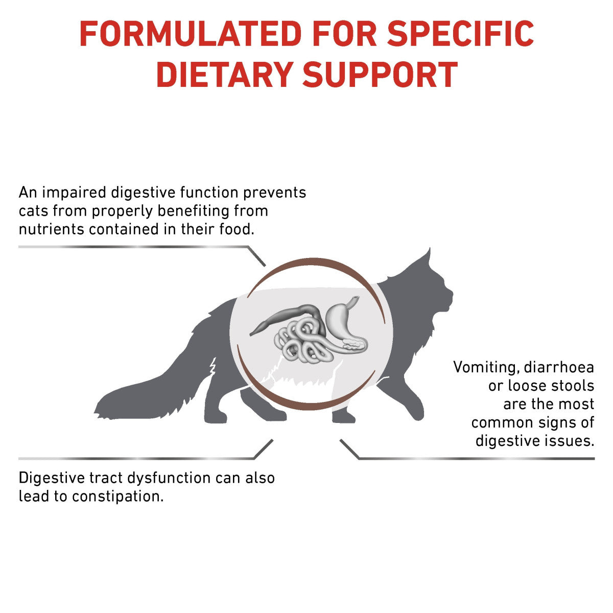 Vet Health Nutrition Feline Gastrointestinal Fibre Response 400 g