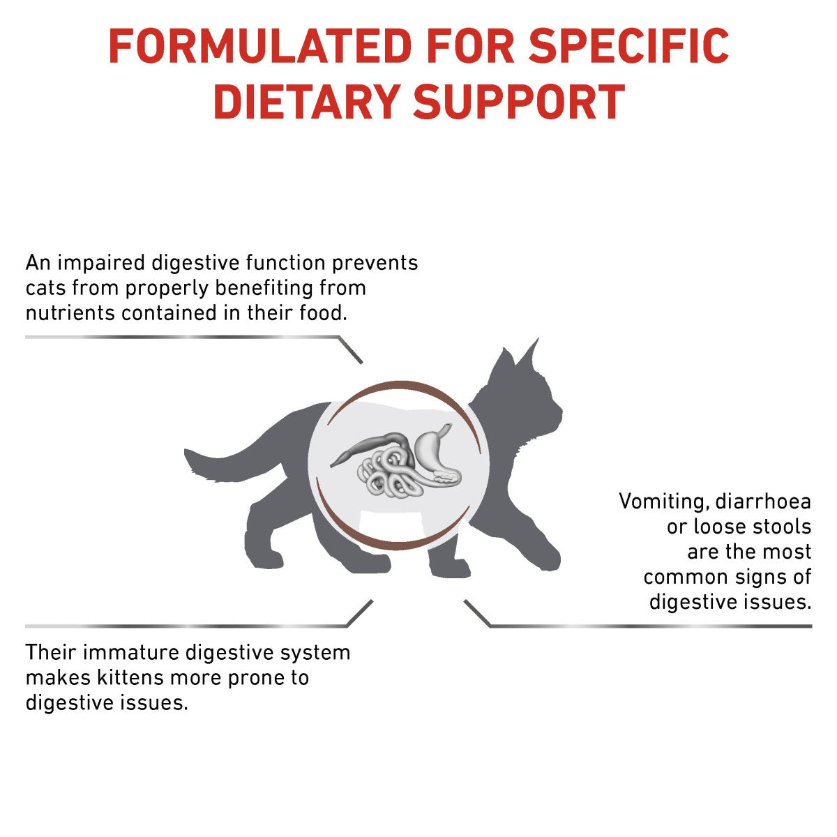 Vet Health Nutrition Feline Gastrointestinal Kitten 2 kg