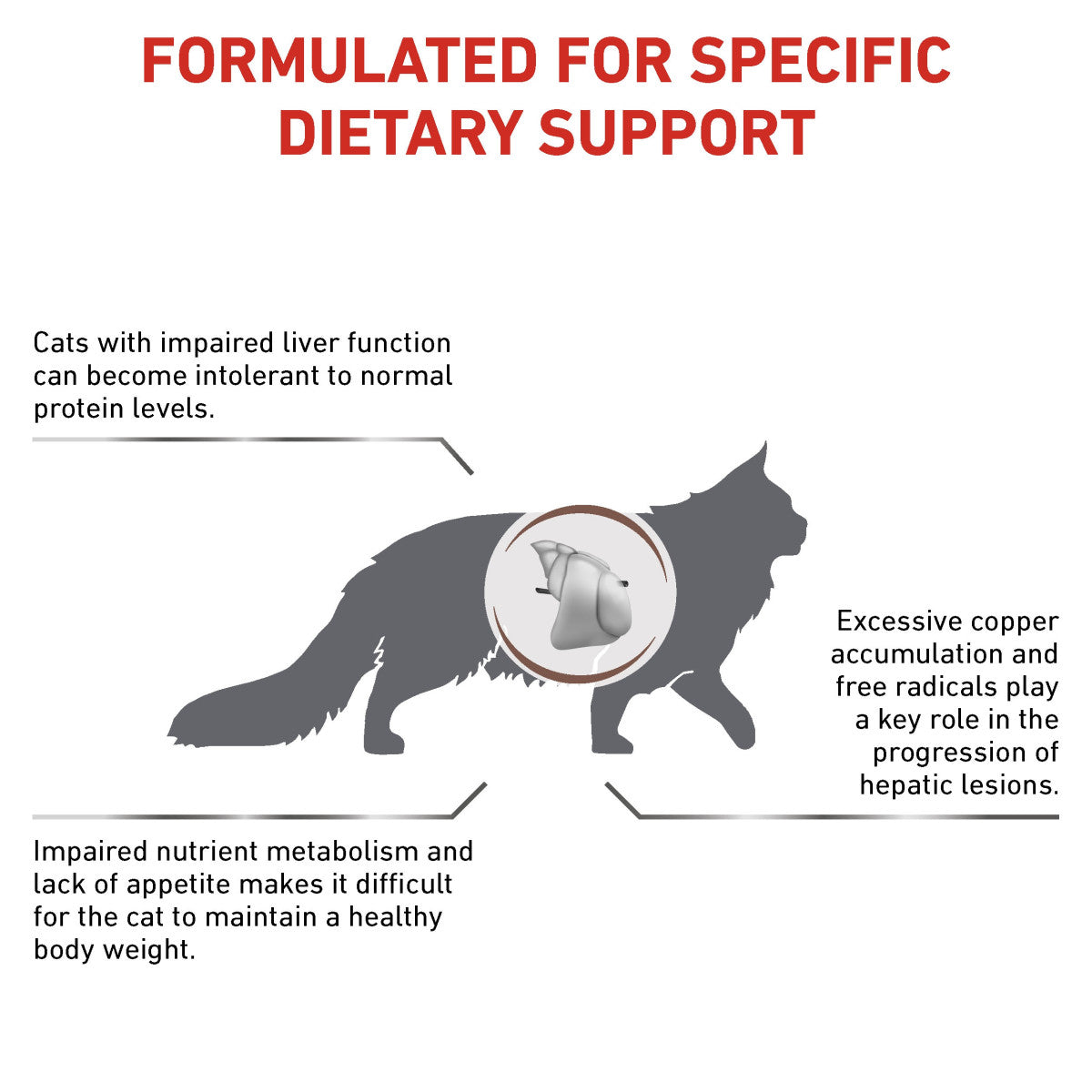 Vet Health Nutrition Feline Hepatic 2 kg