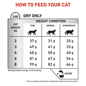 Vet Health Nutrition Feline Hepatic 2 kg