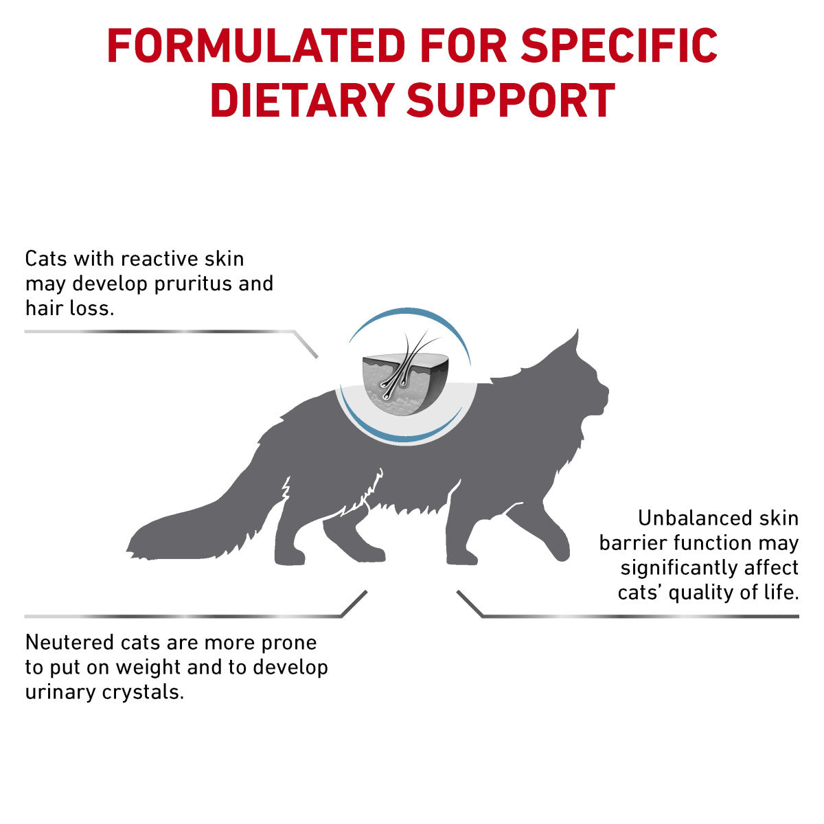 Vet Health Nutrition Feline Skin & Coat 1.5 kg