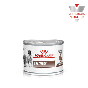 Vet Health Nutrition Recovery Dogs & Cats (Wet Food - Cans) 12 x 195 g