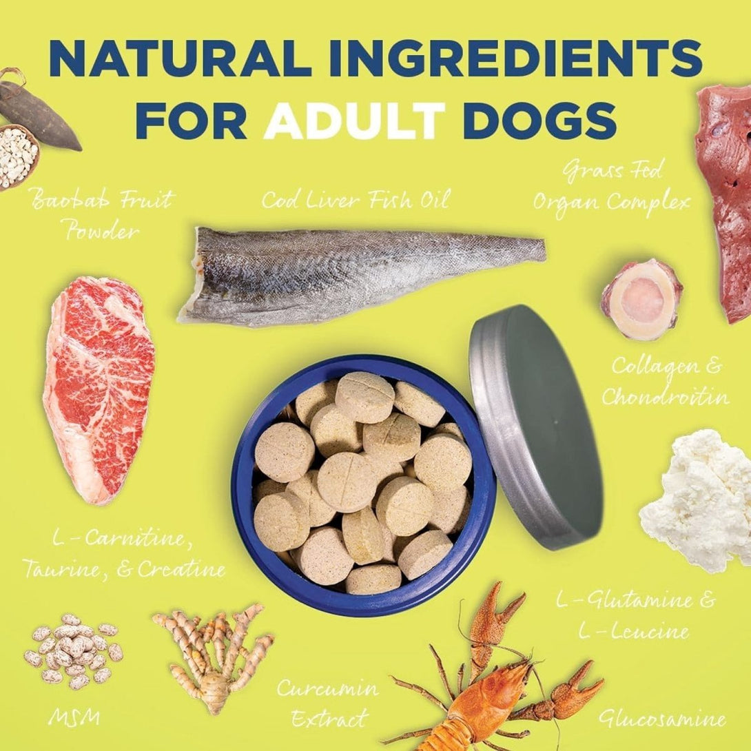 Vetericyn® ALL - IN Dog Supplement – Adult - Shopivet.com