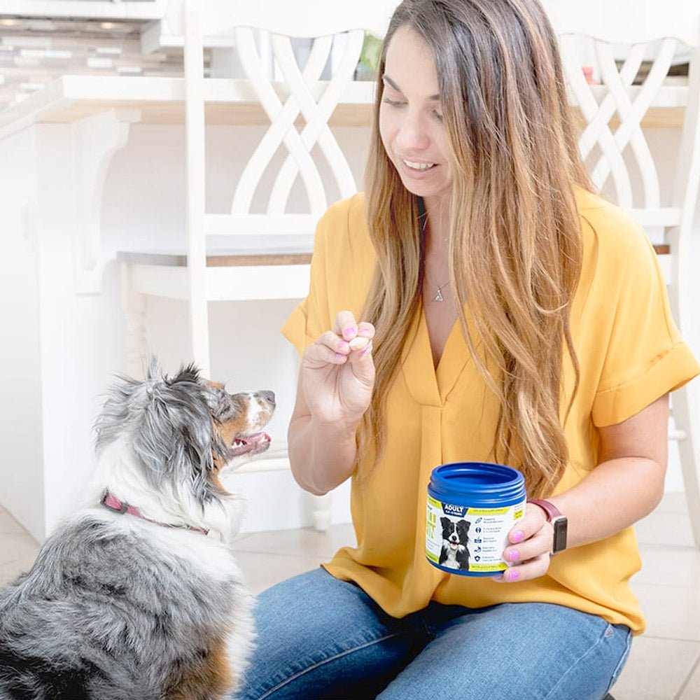 Vetericyn® ALL - IN Dog Supplement – Adult - Shopivet.com