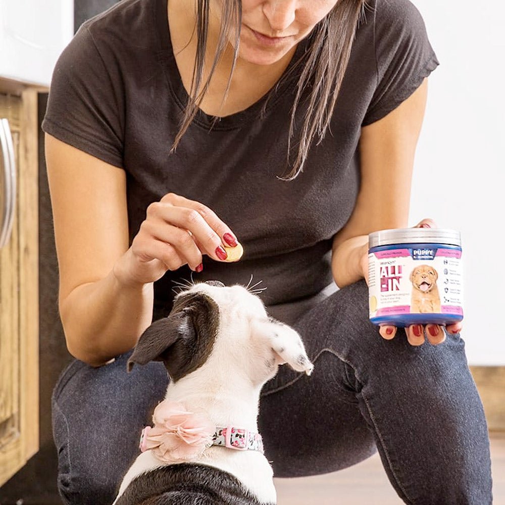 Vetericyn® ALL - IN Dog Supplement – Puppy - Shopivet.com