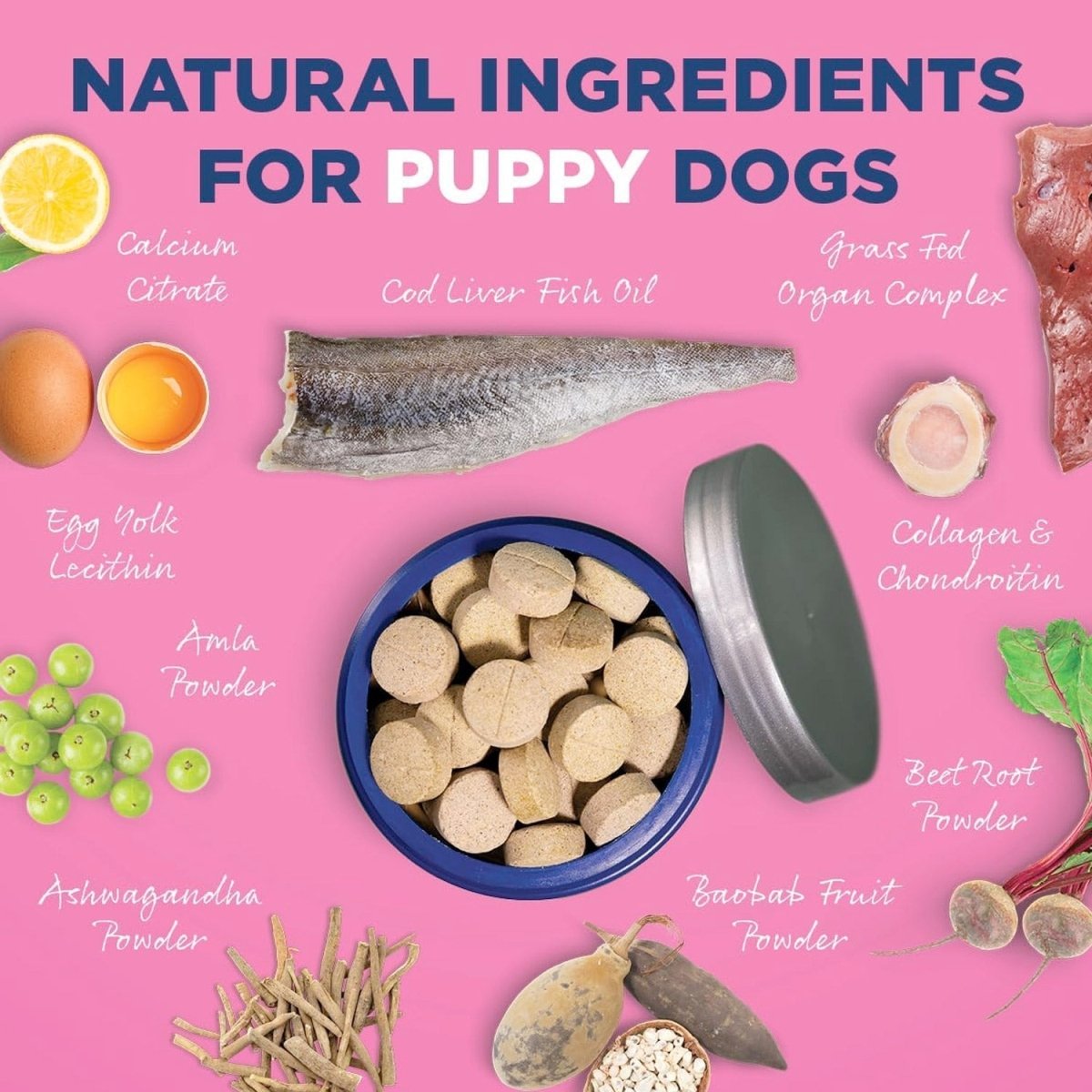 Vetericyn® ALL - IN Dog Supplement – Puppy - Shopivet.com