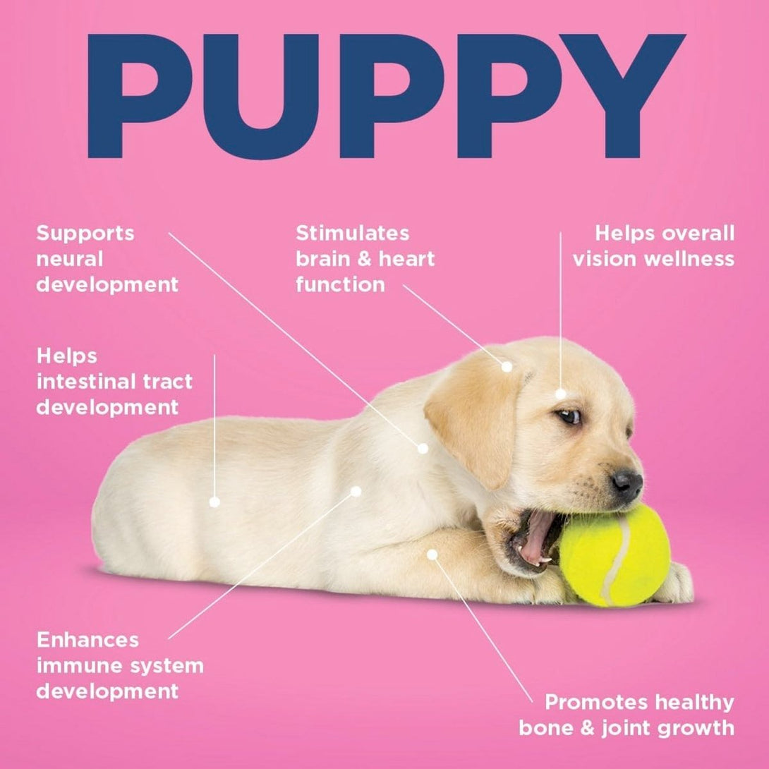 Vetericyn® ALL - IN Dog Supplement – Puppy - Shopivet.com