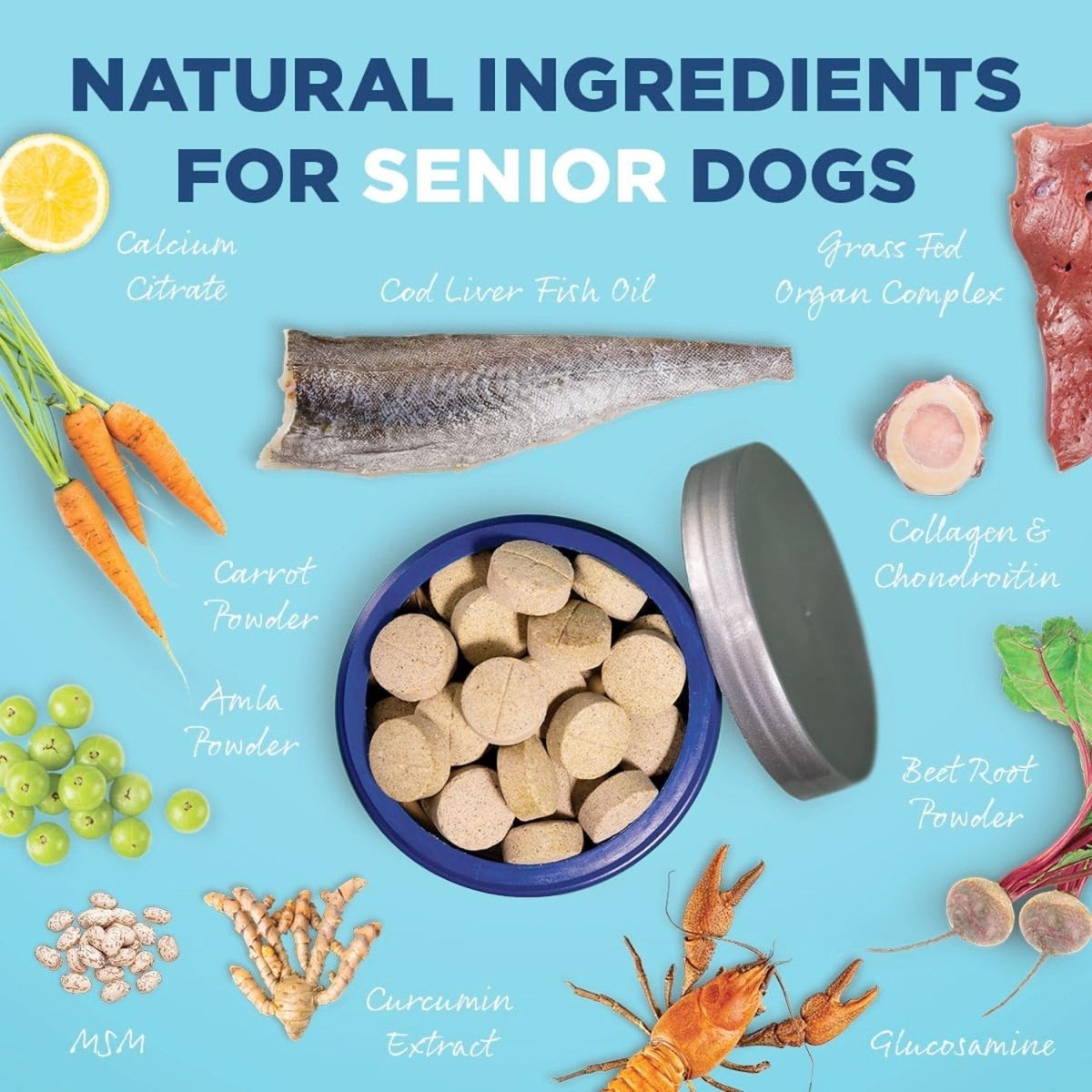 Vetericyn® ALL - IN Dog Supplement – Senior - Shopivet.com