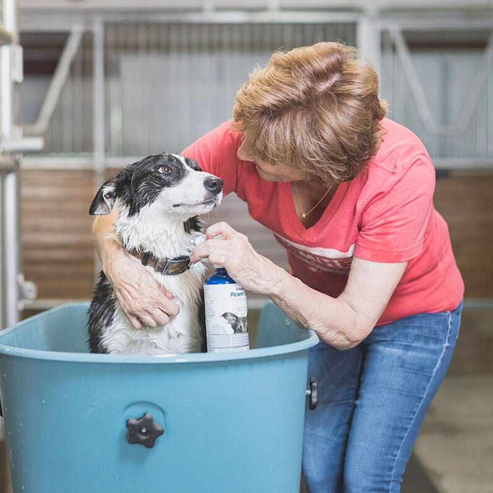 Vetericyn FoamCare® Medicated Pet Shampoo - Shopivet.com