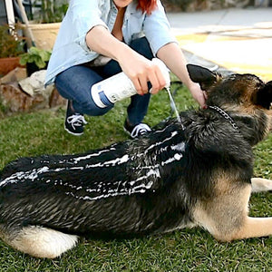 Vetericyn FoamCare® Pet Shampoo – All Coats - Shopivet.com