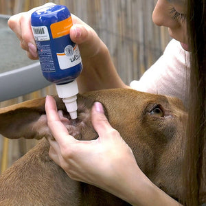 Vetericyn Plus® Antimicrobial Ear Rinse – 3oz - Shopivet.com