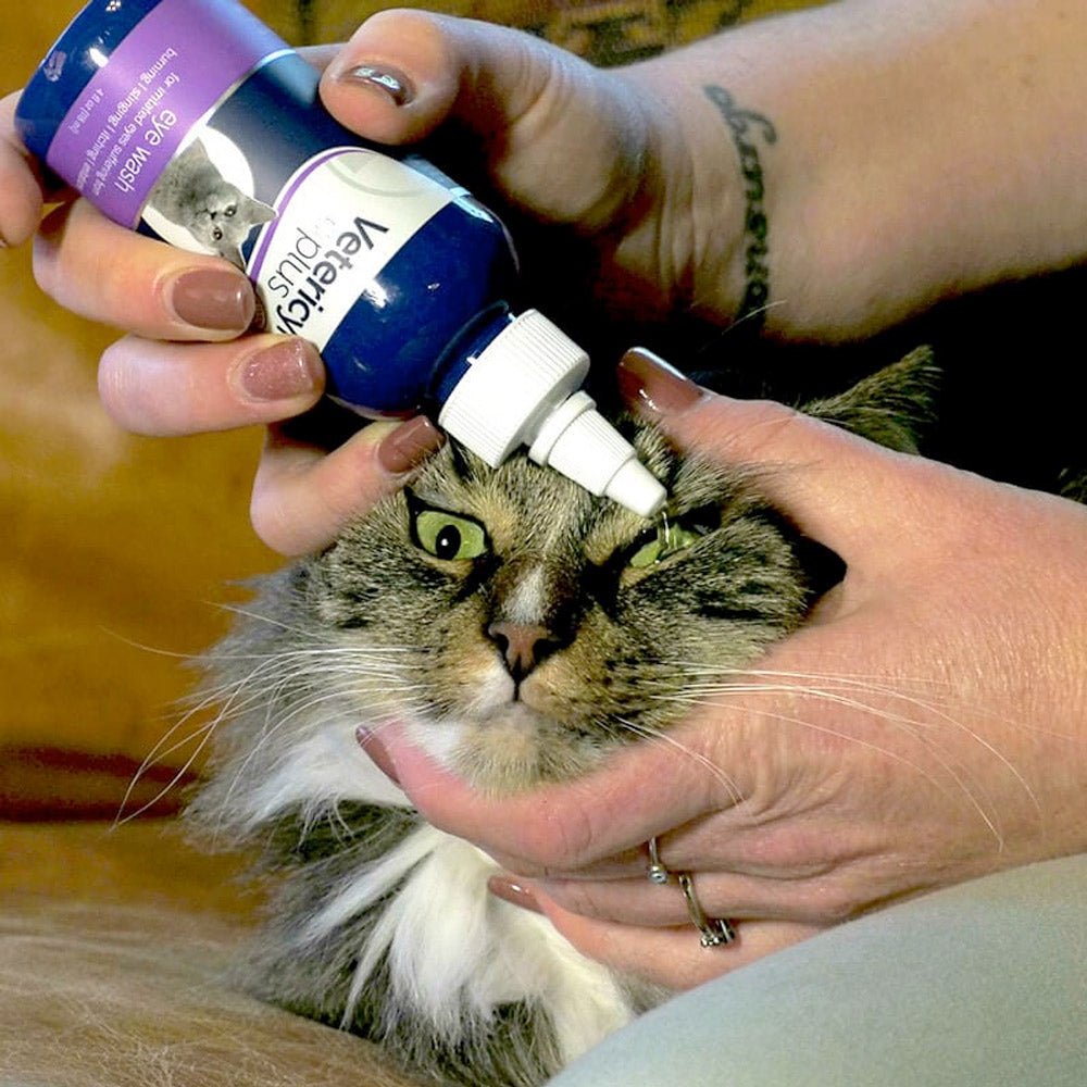 Vetericyn Plus® Antimicrobial Eye Wash – 3oz - Shopivet.com