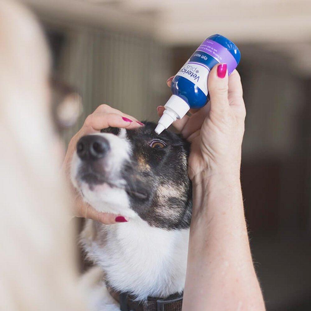 Vetericyn Plus® Antimicrobial Eye Wash – 3oz - Shopivet.com