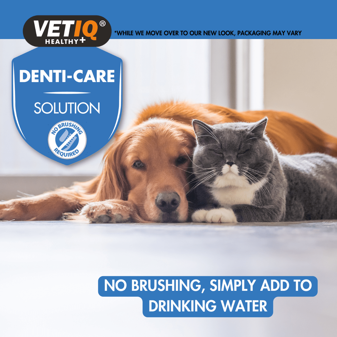 VetiQ 2in1 Denti - Care Oral Hygiene Solution 250ml - 250ML - Shopivet.com