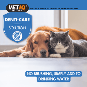 VetiQ 2in1 Denti - Care Oral Hygiene Solution 250ml - 250ML - Shopivet.com