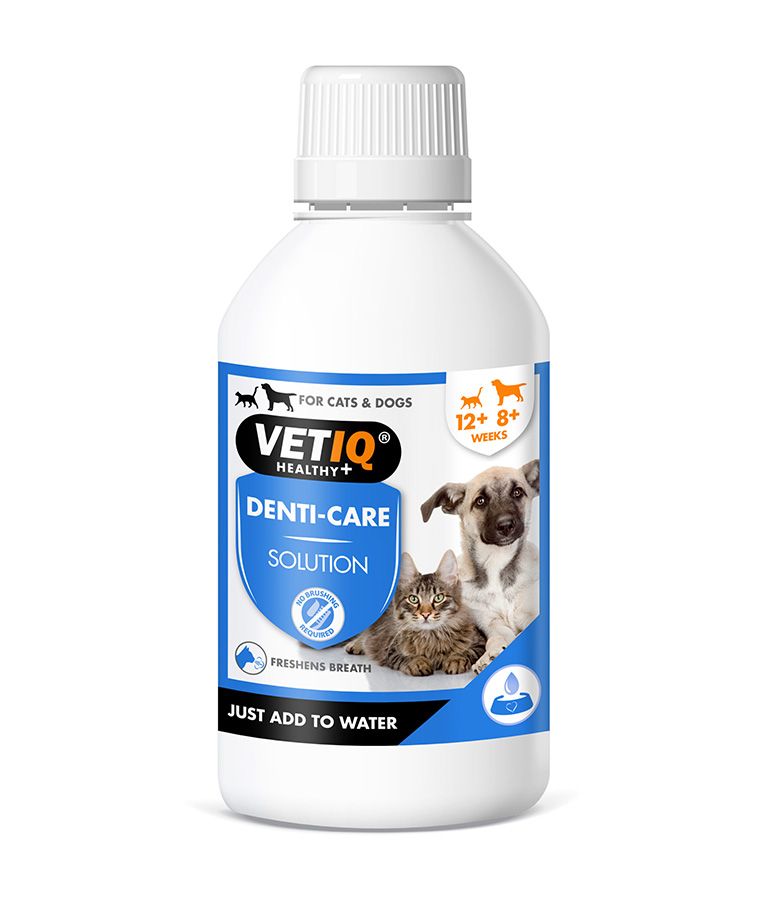 VetiQ 2in1 Denti - Care Oral Hygiene Solution 250ml - 250ML - Shopivet.com