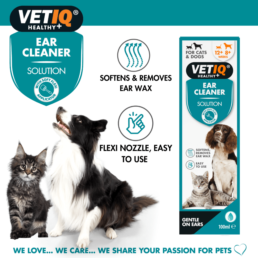 VetiQ Dog & Cat Ear Cleaner 100ml - 100ML - Shopivet.com