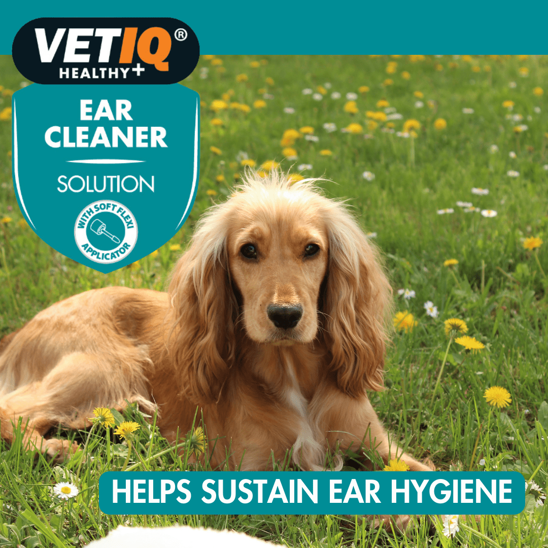 VetiQ Dog & Cat Ear Cleaner 100ml - 100ML - Shopivet.com