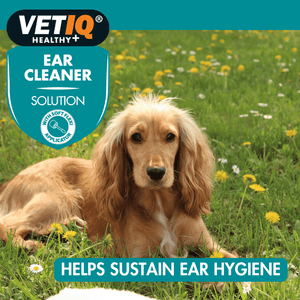VetiQ Dog & Cat Ear Cleaner 100ml - 100ML - Shopivet.com
