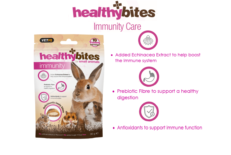 VetIQ Healthy Bites Immunity Care Small Animal Treats 30g - 30g - Shopivet.com
