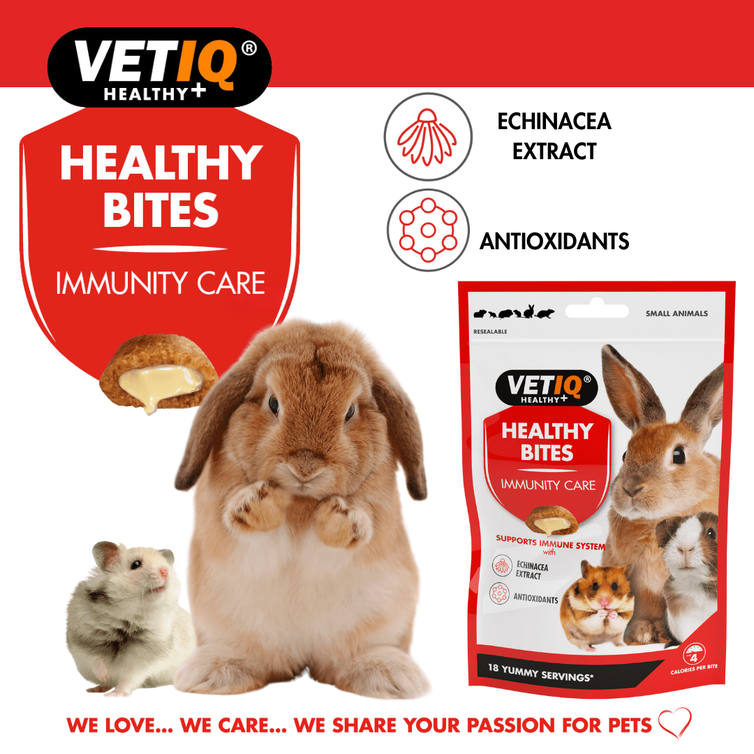 VetIQ Healthy Bites Immunity Care Small Animal Treats 30g - 30g - Shopivet.com