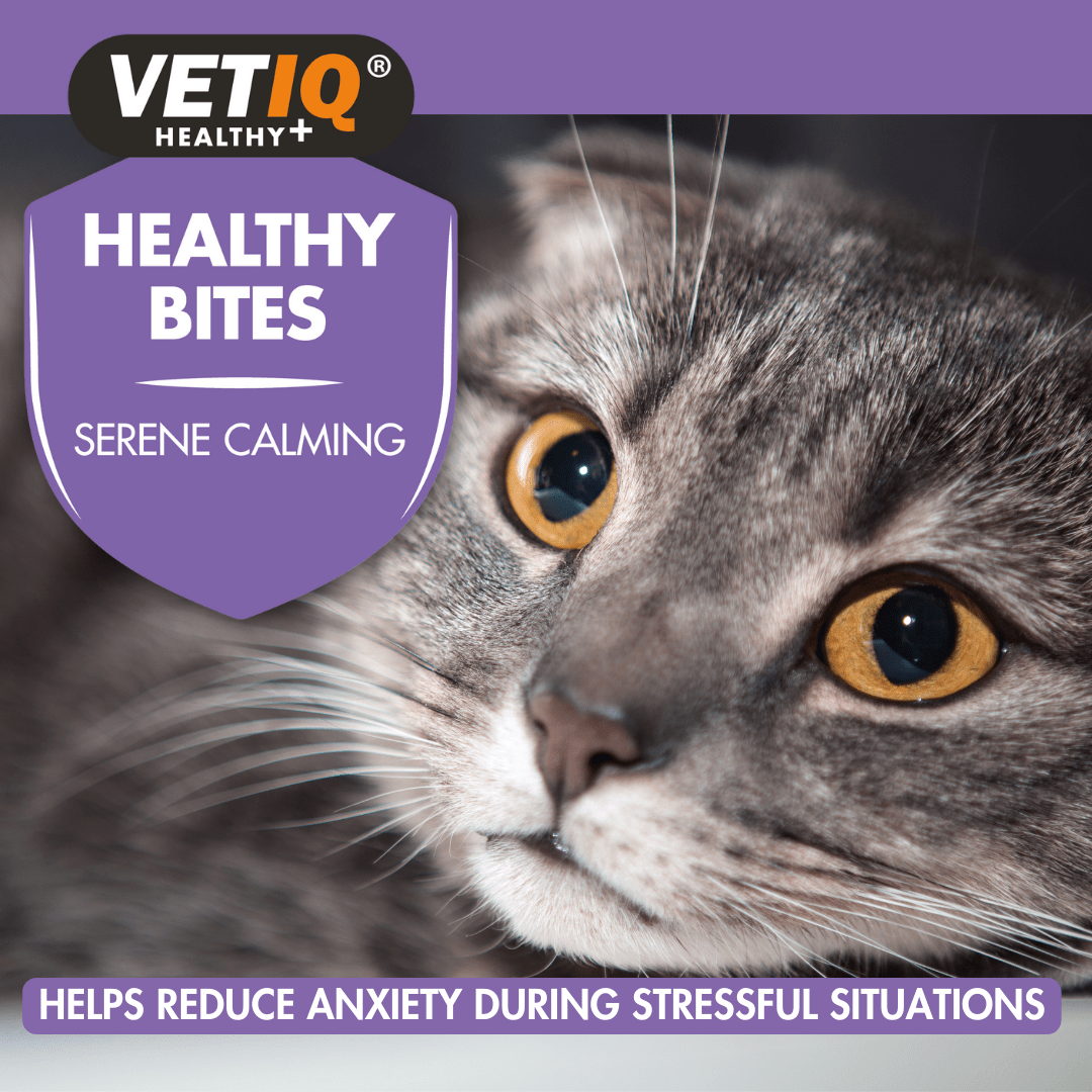 VetIQ Healthy Bites Serene Calming Cat Treats 65g - 65g - Shopivet.com