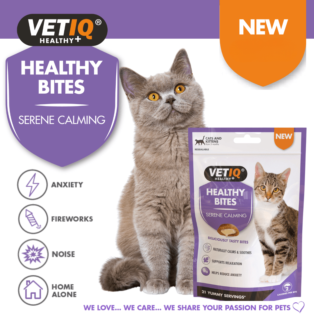 VetIQ Healthy Bites Serene Calming Cat Treats 65g - 65g - Shopivet.com