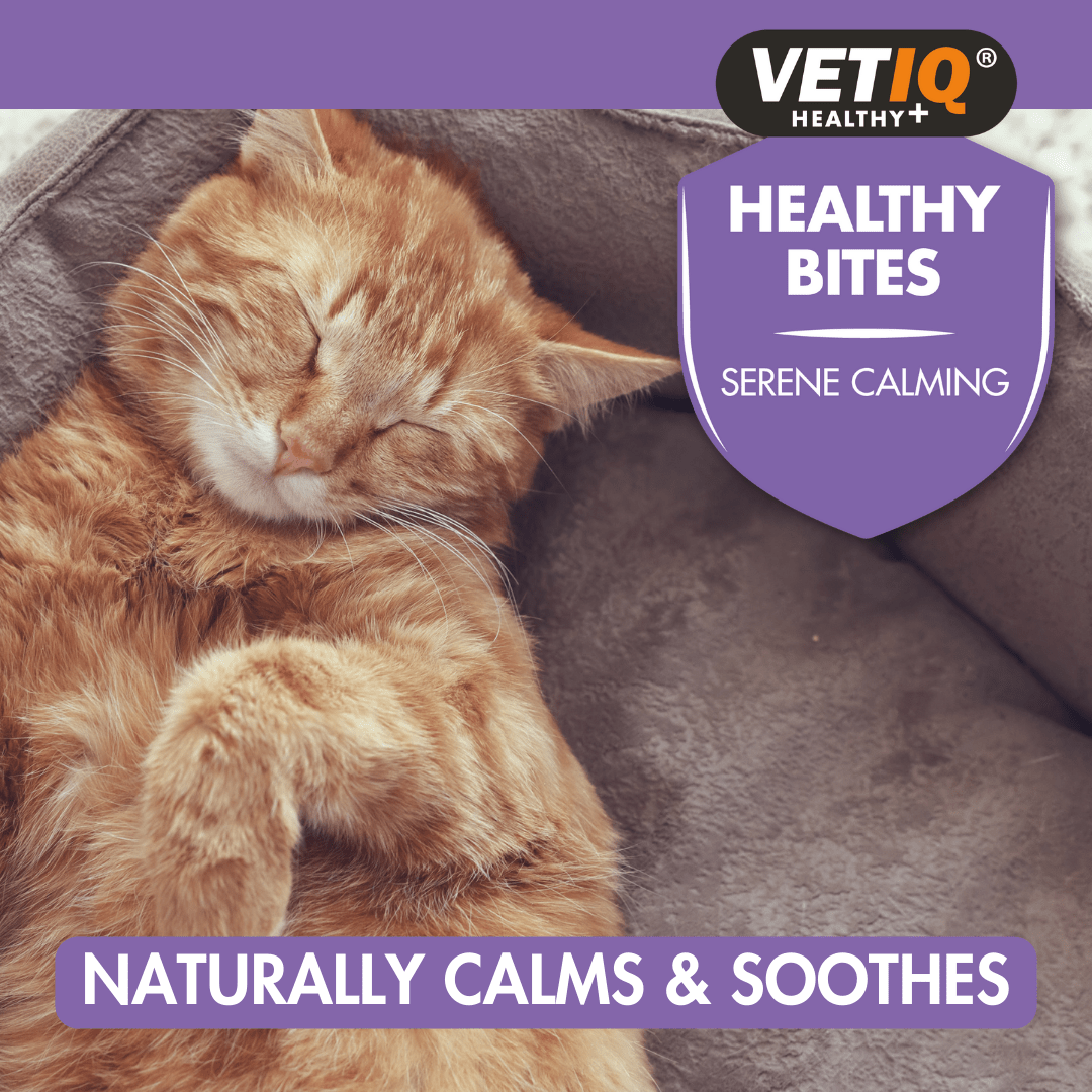 VetIQ Healthy Bites Serene Calming Cat Treats 65g - 65g - Shopivet.com