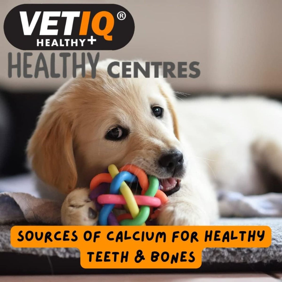 VetIQ Healthy Centres Cheese & Chia Seeds Dog Treats 70g - 70g - Shopivet.com