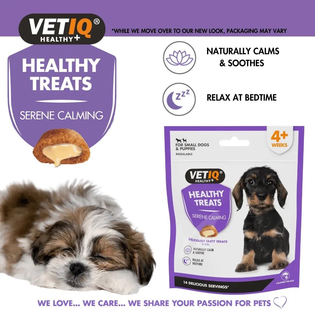 VetIQ Healthy Treats Serene Calming Dog Treats 50g - 50G - Shopivet.com